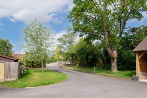 Driveway- click for photo gallery